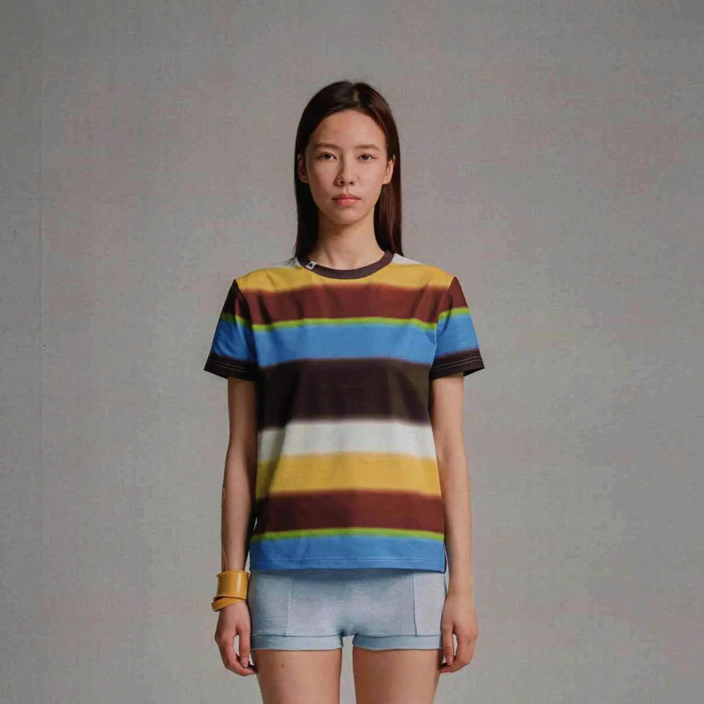 Multicolor Striped T-Shirt